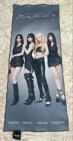 2025年最新】aespaスローガンタオルの人気アイテム - メルカリ