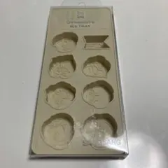 BT21 TinyTan アイストレー