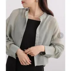 RAY CASSIN シアーシャツ シースルーシャツ ショート丈のサムネイル