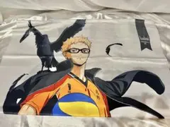 2026年最新】ハイキュー!! ほぼ等身大タペストリー 月島蛍の人気