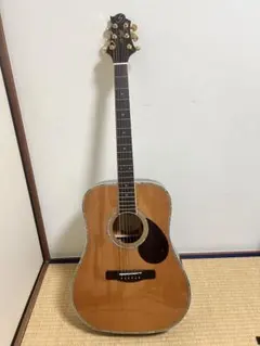 James ジェームス JE100NS ハイエンドモデルあいみょん James ジェームス JE100NS ハイエンドモデルあいみょん - メルカリ