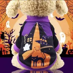かわいい かっこいい魔法使いハロウィントレーナー