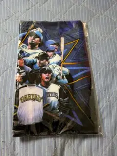 北海道日本ハムファイターズ 20周年記念タオル 非売品