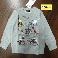 新品タグ付き 恐竜プリント トレーナー 100cm グレー裏毛