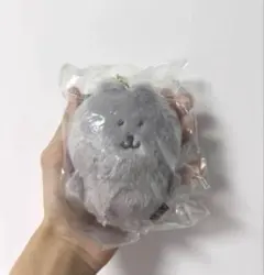 ナガノキャラクターズ ぬいぐるみ マスコット