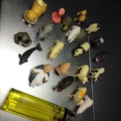動物フィギュアセット 20体