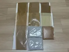 GUNZE ATSUGI 関東ナイロン ストッキング 10足