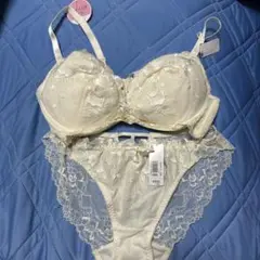 エメフィール　ブラジャーショーツセット　E75