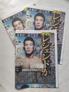 渋谷配布 超RIZIN 5 大阪開催 特別号外 新聞 2部セット デイリーその1
