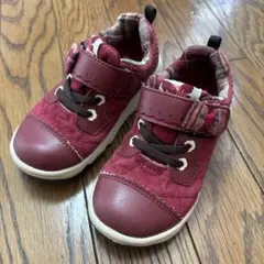 ムーンスターキャロット　17.0センチ