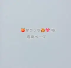 せりっち様 専用ページ