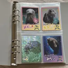 バラ100円＋送料】鳥羽水族館コレクションカード2（とレカ） - メルカリ