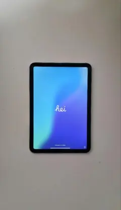 ★お盆セール★第6世代Apple iPad mini (Wi-Fi 256GB)