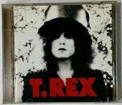 2026年最新】t-rex レコードの人気アイテム - メルカリ
