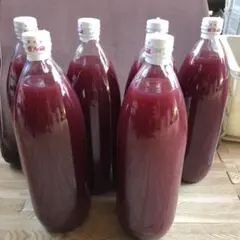 無添加ぶどうジュース^ ^訳あり飲み比べセット^ ^６本　農家直送