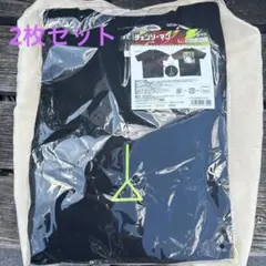 Item thumbnail for item af21ecc8-8fbd-428e-80d0-bee3b722d4f8