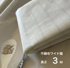 Item thumbnail for item c687e4c7-5532-40dc-91f9-fdea17f7d4a7