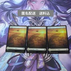 MTG　Foil　フルアート　平地/Plains　[TLA] 英語