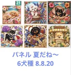 ニットのおうち♡トイプーちゃんヨーキーちゃんポメちゃんetc.オーダー
