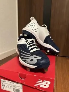 Item thumbnail for item e9e9b669-04bd-40ed-a15a-629d397df1a3