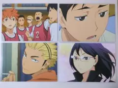 ハイキュー ピクコレ 4点セット 烏野高校 ブロマイド