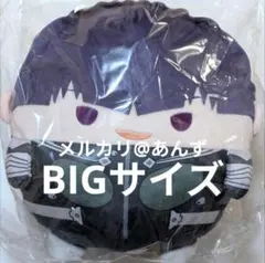 保科宗四郎 ふわコロりん BIGサイズ 怪獣8号 - メルカリ