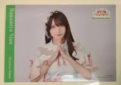 花宮初奈 天狼群 ばっどがーる 缶バッジ プロマイト9点セット KING RECORDS STORE >ばっどがーる
