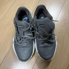 asics NOVA SURGE バスケットシューズ グレー