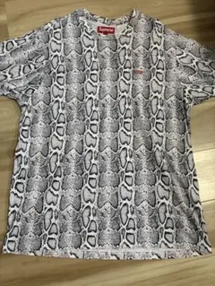 2026年最新】Supreme Small Box Tee snakeの人気アイテム - メルカリ