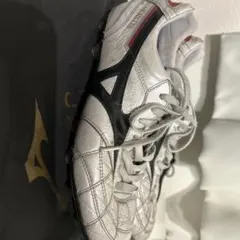 Item thumbnail for item d752bbf1-94b7-467d-bcdc-6c78a82e9191