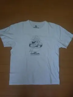 BAMBOO SHOOTS　バンブーシュート　Tシャツ M