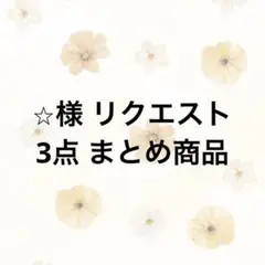 ⭐︎様 リクエスト 3点 まとめ商品