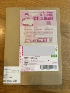 ポケモンカードゲーム MEGA 拡張パック インフェルノ X BOX