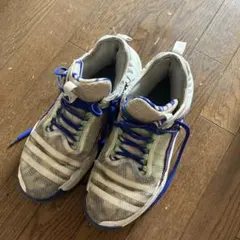 adidas バスケットボールシューズ ホワイト ブルー　トレイヤングのサムネイル