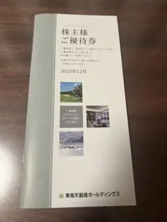 【最新版】東急不動産ホールディングス株主優待券 1000～5000株未満