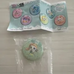 キャッチ！ティニピン くら寿司 オーロラ缶バッジ スパピン