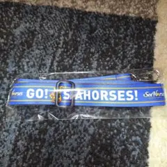 Item thumbnail for item 1afe114b-eea1-4edf-b423-1572e501870a