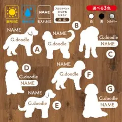 Item thumbnail for item ac1ef3a8-9baa-4d88-936b-0fa70b0e7914