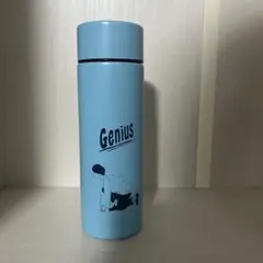 Item thumbnail for item 054d03df-aca1-4789-b249-03b02a1fd963