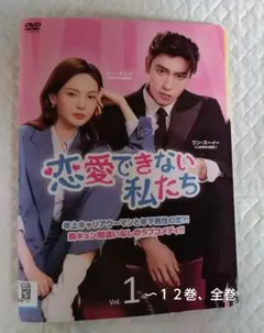 사랑할 수 없어 DVD 12권 전권 대여 실패