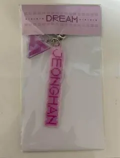 SEVENTEEN セブチ ジョンハン アクキー