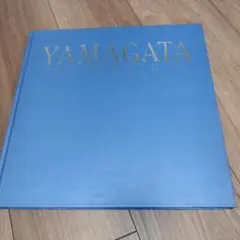 Item thumbnail for item a3d4e01f-c0b0-43ec-bc8b-0dff85ee73ef