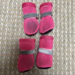 ペット　シューズ　メッシュ　ピンク