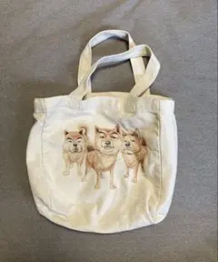 Item thumbnail for item b0634d9f-9385-45dc-81c1-8639f228b01c