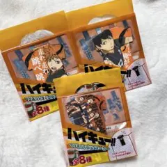 ハイキュー 日向翔陽 影山飛雄 烏野 マグネットブックマーカー