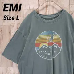イーエムアイ 半袖 プリントTシャツ メンズ L グレイブルー 古着 スキーのサムネイル