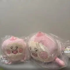 ラスト、A、B賞】キャラ福くじ「こびとづかん」上位賞6点セット