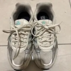 Item thumbnail for item bf6fe493-7221-4465-9f1d-9c76849e3f3b