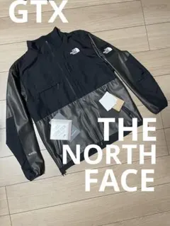 ゴアテックス　デナリジャケット　GTX DenaliJacket ノースフェイスのサムネイル
