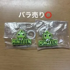 SEVENTEEN MINITEEN ディエイト めじるしアクセサリー